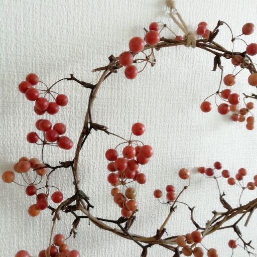 12月20日 サンキライ ラクハナblog 12月20日 サンキライ ラクハナblog